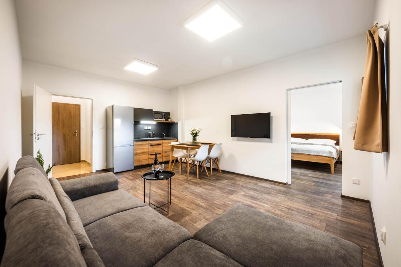 Apartmany Panelka Costa Plana Lipno Černá v Pošumaví Buitenkant foto