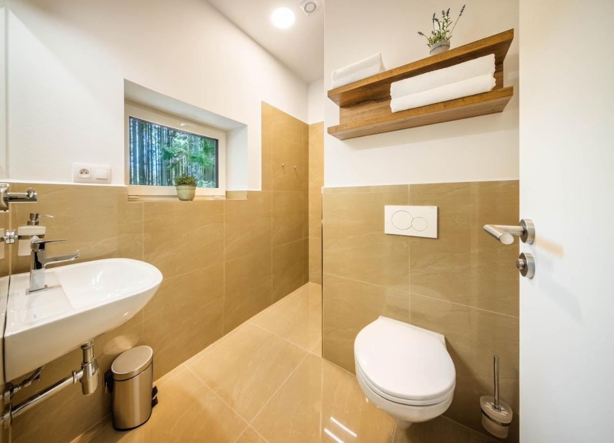 Apartmany Panelka Costa Plana Lipno Černá v Pošumaví Buitenkant foto