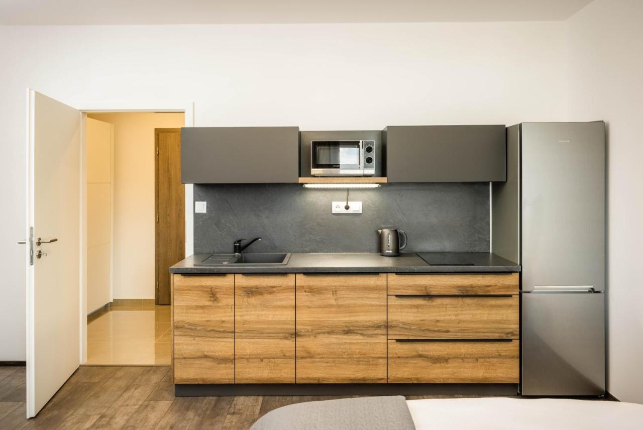 Apartmany Panelka Costa Plana Lipno Černá v Pošumaví Buitenkant foto